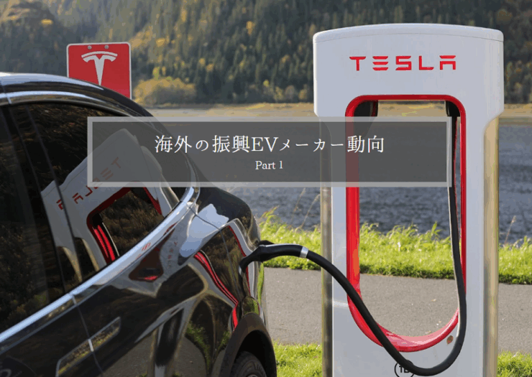 海外の振興EVメーカー